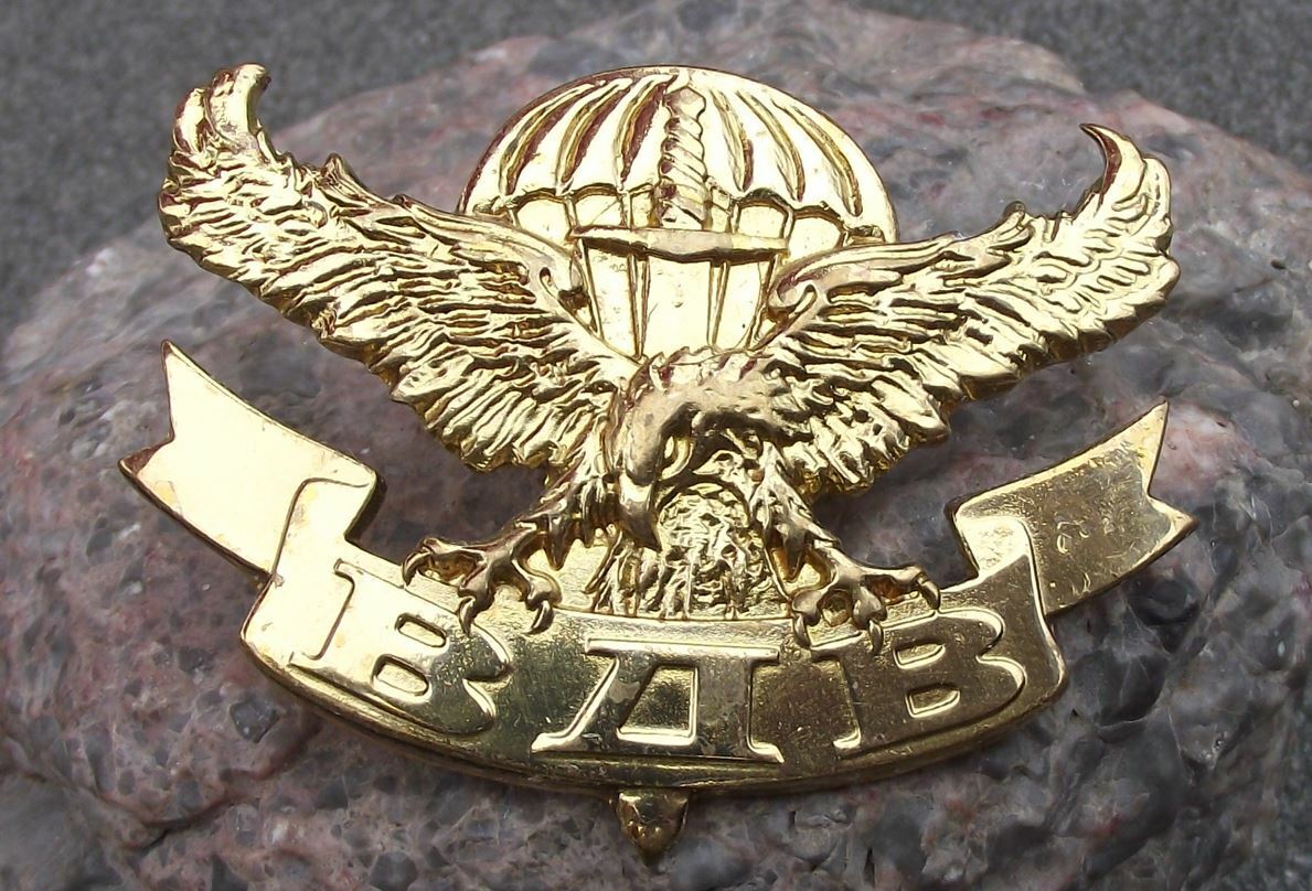 Soviet Union Russian Airborne Forces VDV Eagle Sword Parachute Motif Pin Badge