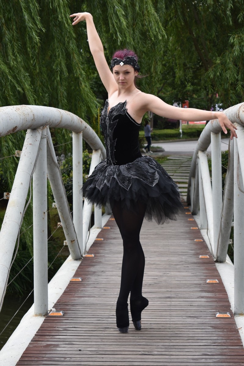 ballet black dress The Ballet Dress main image 1