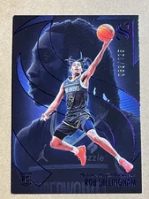 2024/25 Silhouette Basketball Rob Dillingham Purple Rookie 83/125 No.76. STUNNER