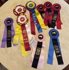 Lote de 9 Rosetas Grandes Cintas Show Horse Show Púrpura Azul Rojo Rosa Surtido