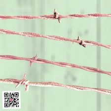 Antique Barbed Wire 10 Pieces Of 24  