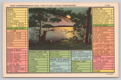 Moonlight Lake Scene, Time Saver Card, Check Items Desired, Vintage Postcard