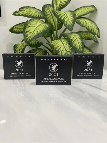 American Eagle 2021 One Ounce Silver Uncirculated Coin 21EGN Burnished In Hand