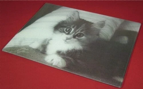 Fuentes y platos para servir