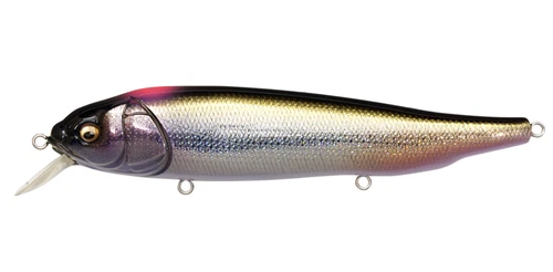 Megabass/LATES FeedingWoofer #DD INDICATOR SHINER 120mm 5/8oz FloatingLure No693