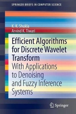 Efficient Algorithms for Discrete Wavelet Transform - 9781447149408