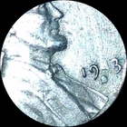 1943  error Lincoln Wheat Small Cent Steel  Circulated US Coin.