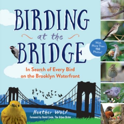 Birding at the Bridge: In Search of Every Bird on the Brooklyn Waterfront - GOOD