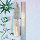 Hunting Skinner Knives | Damascus Steel | Premium Pakka Wood Handle | D139a — photo 7