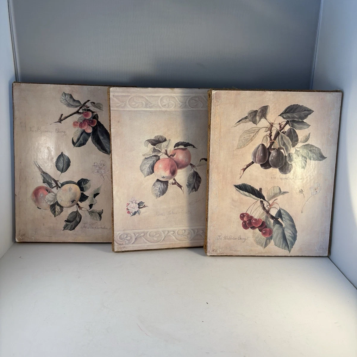 Canvas Fabrice de Villeneuve Art Prints for sale | eBay