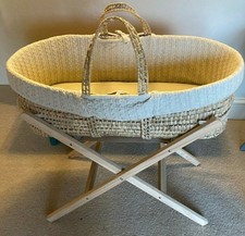 little green sheep moses stand