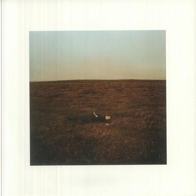 Fink - The City Is Coming To Erase It All (winte Gorse Colour ) [VINYL]