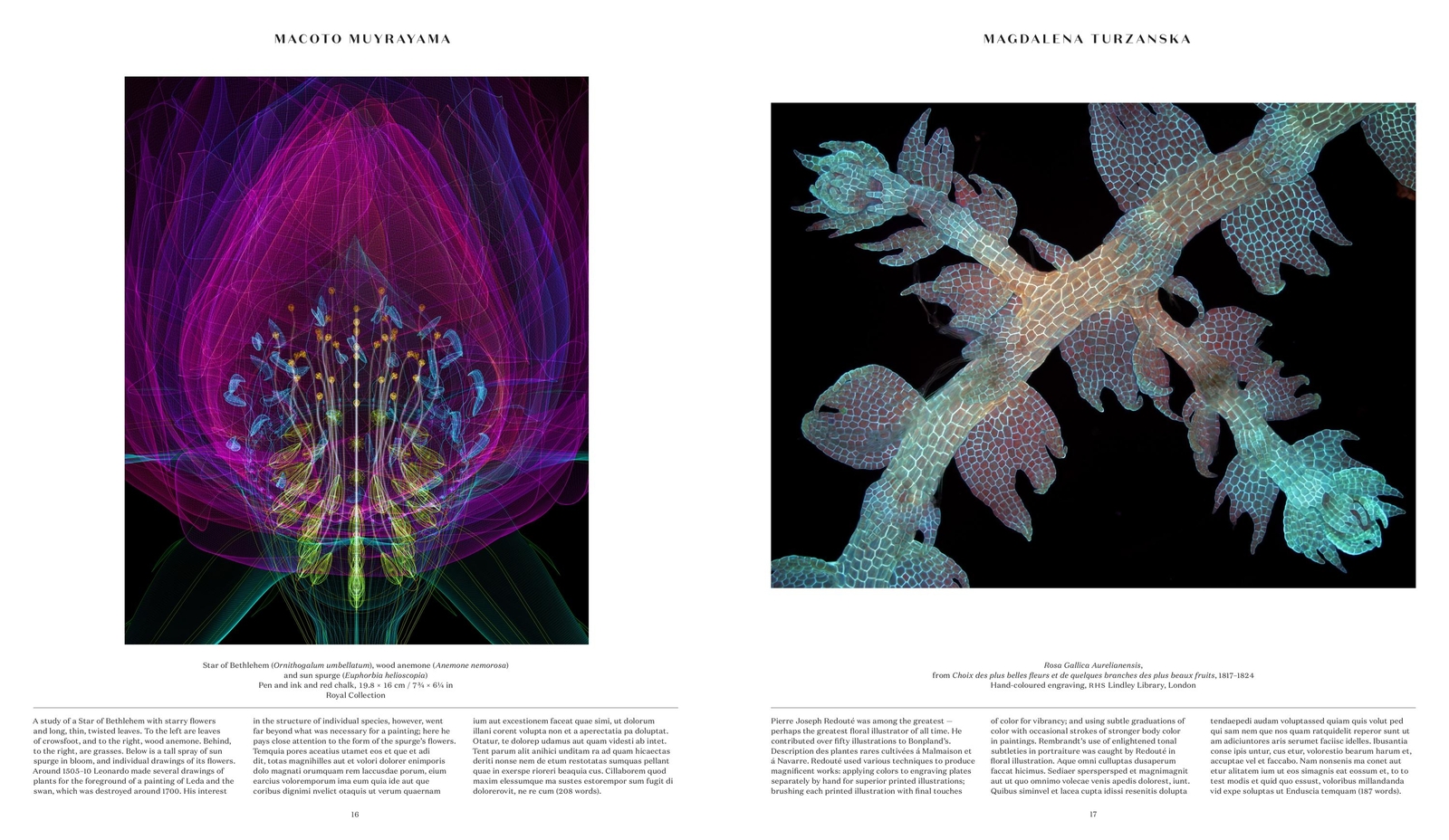 Thumbnail - Plant: Exploring The Botanical World, Phaidon Editors