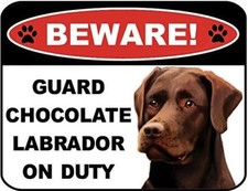 Beware Guard Chocolate Lab on Duty v1 9 inch x 11.5 inch Laminated Dog Sign