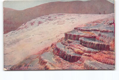 Mammoth Hot Springs Yellowstone National Park WY UDB Postcard Vtg Unposted