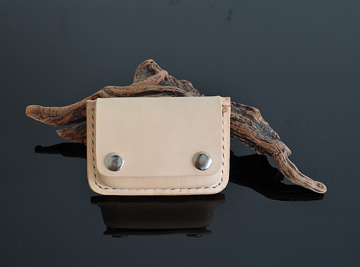 Tslim x2 Insulin Pump Genuine Leather Case eBay