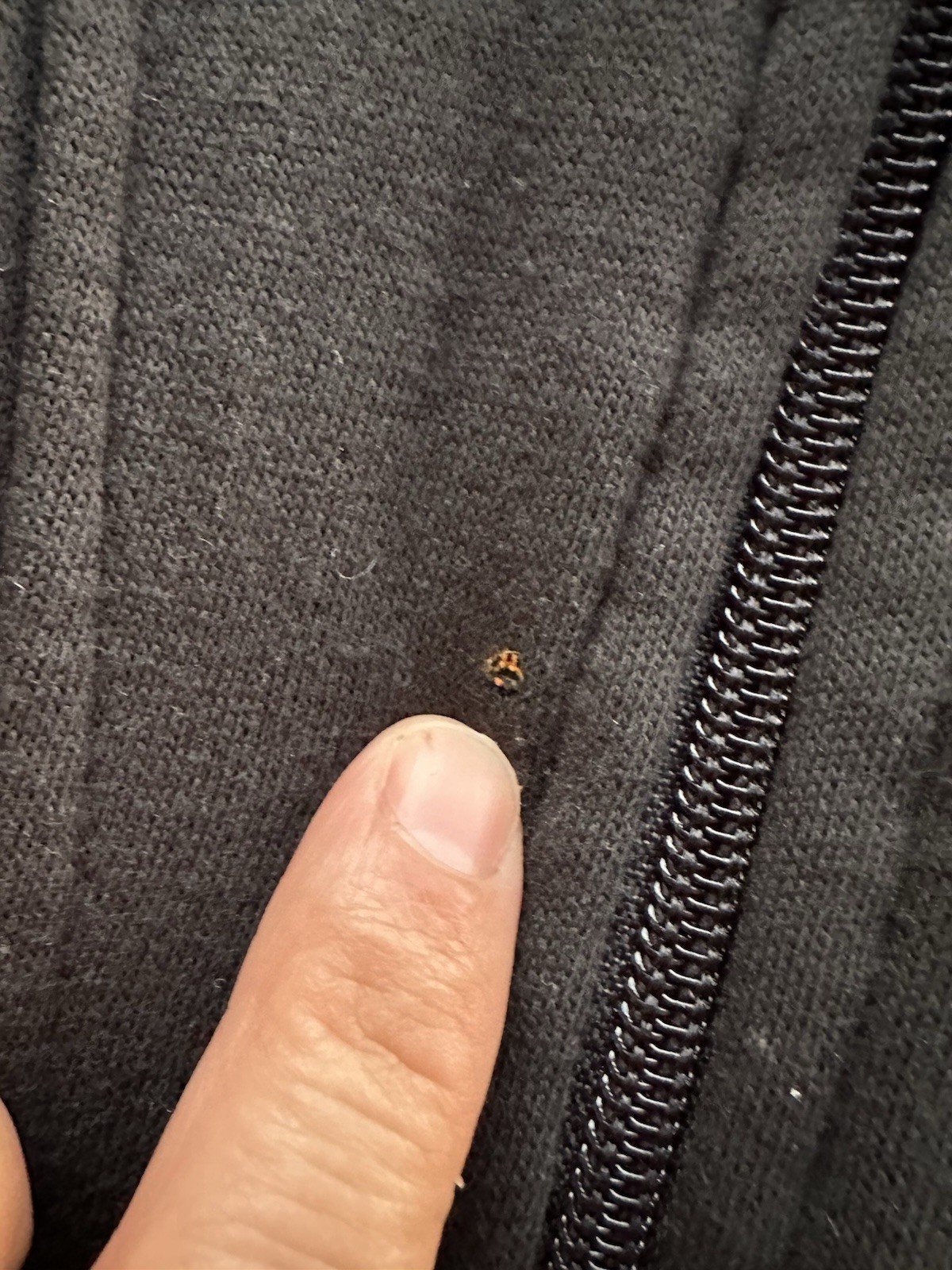 Maglione vintage marca Pony uomo XL nero rosso blu grigio full zip anni 80