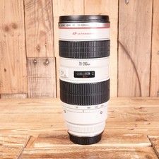 Faulty Canon EF 70-200mm F2.8 L USM Lens - Fungus