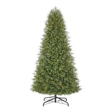 9 Ft. Jackson Noble Fir LED Pre-Lit Artificial Christmas Tree T24
