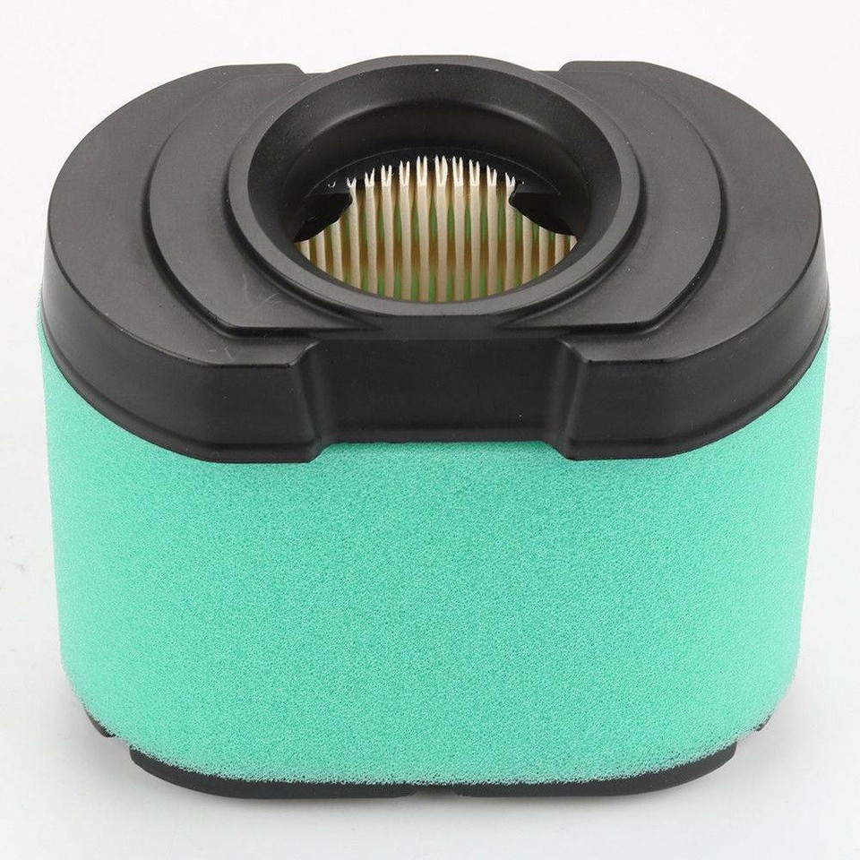 Filtro Aria 792105 (Briggs & Stratton) A 42,55 € - GMV Agricenter - Foto 6