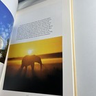 Bild 11 von 17