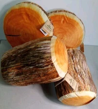 Log Plush Throw Pillows 2 Round & 2 Cylinder 11"x11" & 11"x7.5" Orange & Brown