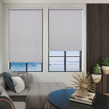 Changshade Cordless 100% Blackout Roller Shades Window Blinds Room Darkening
