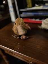 Ty Beanie Baby Beak the Kiwi  DOB February 3, 1998 MWMT Free Shipping