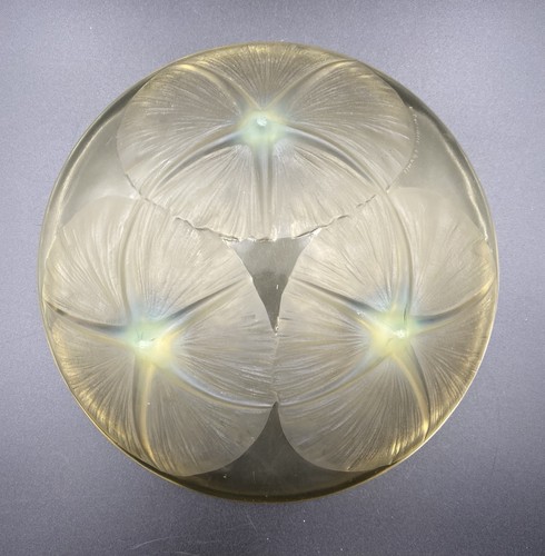 René Lalique Schale Volubilis Pressglas geformt gelb guter Zustand signiert R. Lalique - Bild 4 von 10