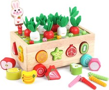 Montessori Wooden Shape Sorting Toy Toddler Learning Ages 1-3