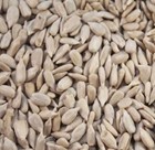 SUNFLOWER HEARTS SEEDS FOR BIRDS & WILD BIRD PREMIUM NO GROW FOOD HIGH ENERGY