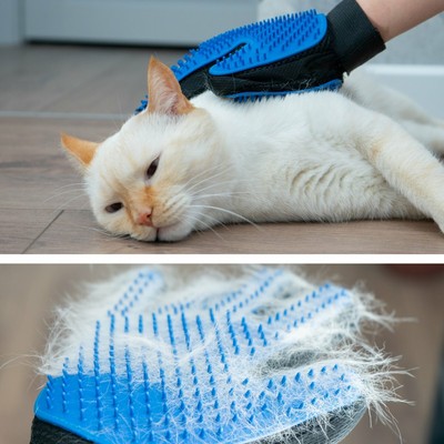cat combing glove