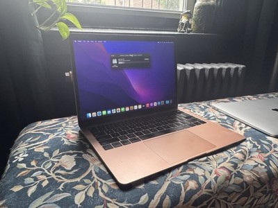 2018 Rose Gold MacBook Air a1932 Retina i5 128gb 16gb Ram NEW BATTERY