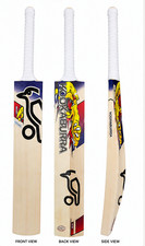 Professional Grade English Willow Cricket Bat – Adult Size | Cover & Protection