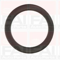 FAI AutoParts Dichtungssatz, AnsaugkrüMmer IM1157 FüR CitroËN Ford Mazda