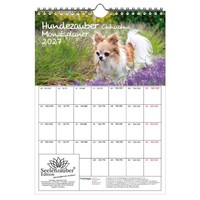 Hundezauber Chihuahua Planer Din A4 Kalender FüR 2027 Welpen Und Hunde - Seelenz