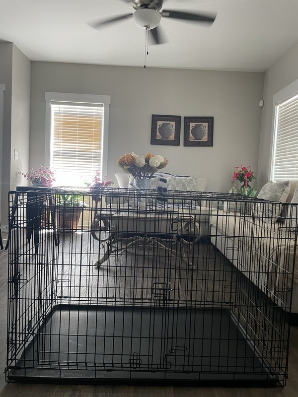 XL dog cage metal vary big