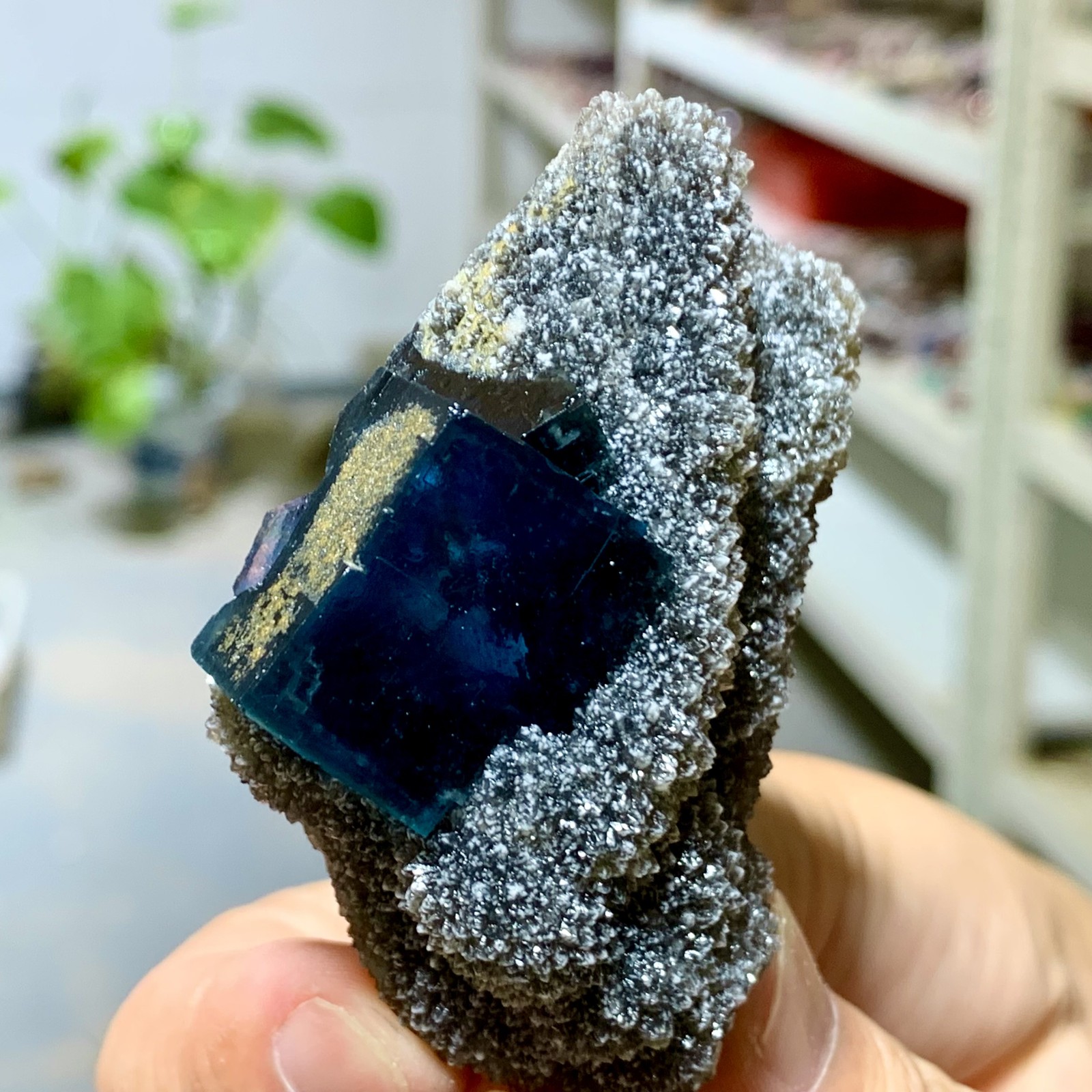 96G Transparent Blue-Green Cubic Fluorite Crystal Specimen from China