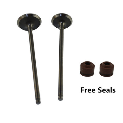  Intake Exhaust Valves  For Yamaha XV250 Virago Route 66 V-Star XVS250 Drag Star