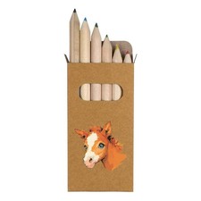 6 x 'Cute Baby Horse Portrait' Short Colour Pencils PE00086758