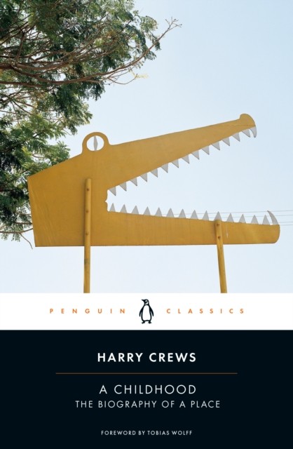 Penguin Classics A Childhood: The Biography Of A Place (Penguin Classics) - Image 3