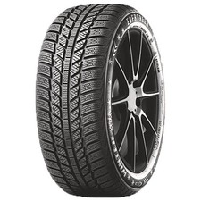 Winterreifen - EVERGREEN EW62 165/70R14 85T BSW XL