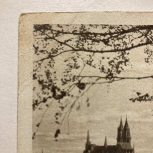 Meißen - Blick von Proschwitz auf die Albrechtsburg und Dom • alte Postkarte - Bild 3 von 6