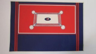 Ring King by Nihon Bussan Arcade Game Control Panel Overlay Decal. Free Ship!