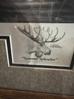 Picture 2 of 4