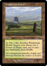 Windswept Heath (Retro Frame) - Near Mint MTG Modern Horizons 3
