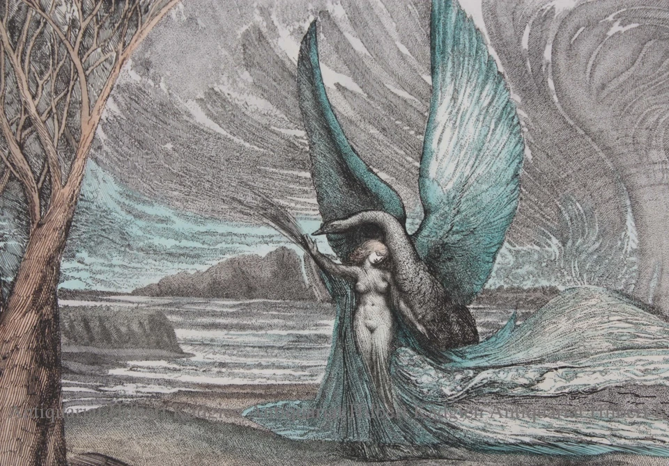 ERNST FUCHS "Leda mit dem Schwan" sign. Farbradierung 69/250 mit Rahmen - Bild 3 von 4