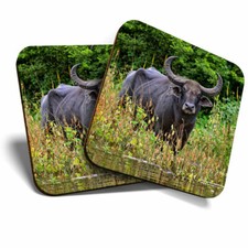 2 x Coasters - Water Buffalo Wild Animal Home Gift #12766