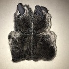 Picture 5 of 9