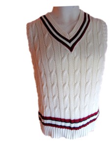 mens sleeveless cricket jumper